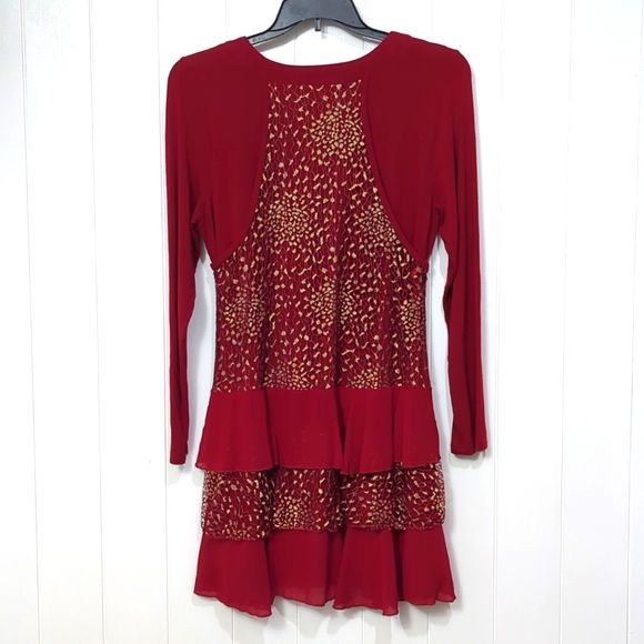 ❤️5/$25 Like New Lishaweimei Red and Gold Lace Dress - Picture 6 of 6